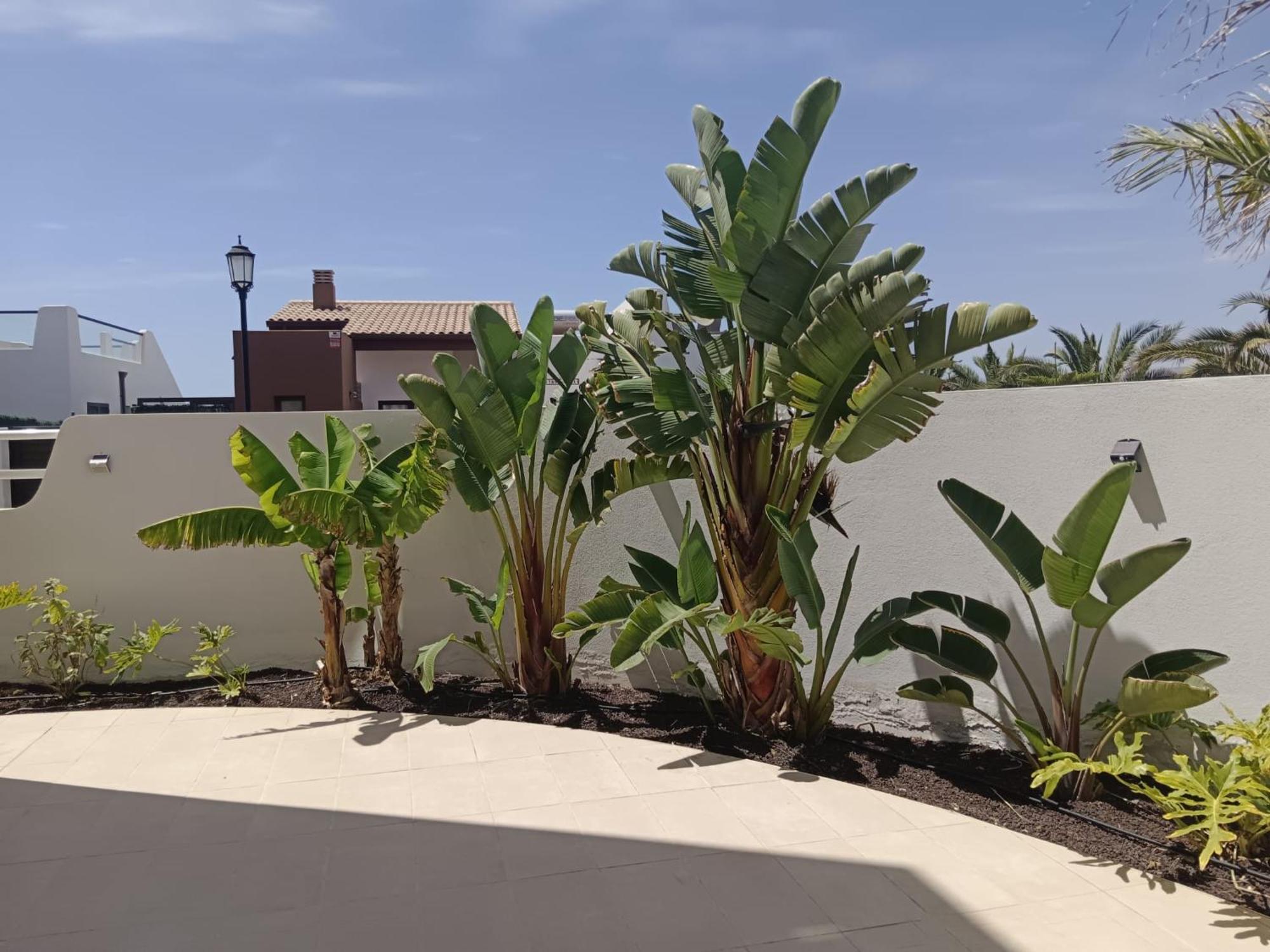 Homeforguest Flat With Large Terrace In Modern Residential Complex With Swimming Pool Caleta De Fuste Exterior photo